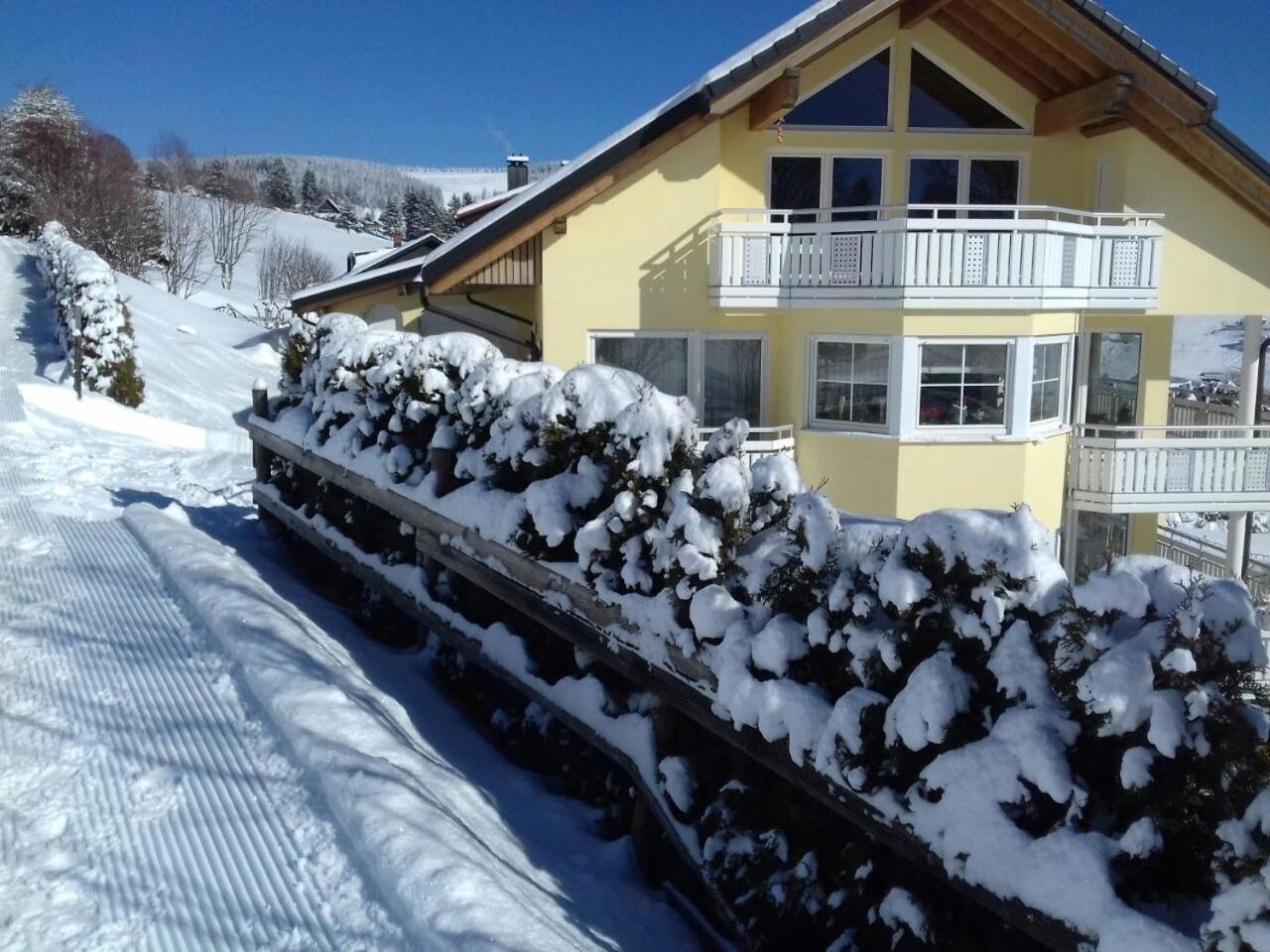"Schwarzwaldblick" Ferienwohnung 2-4 Pers 65Qm, Schoene Ruhige Suedhanglage Mit Herrl Aussicht Todtnau Exterior photo
