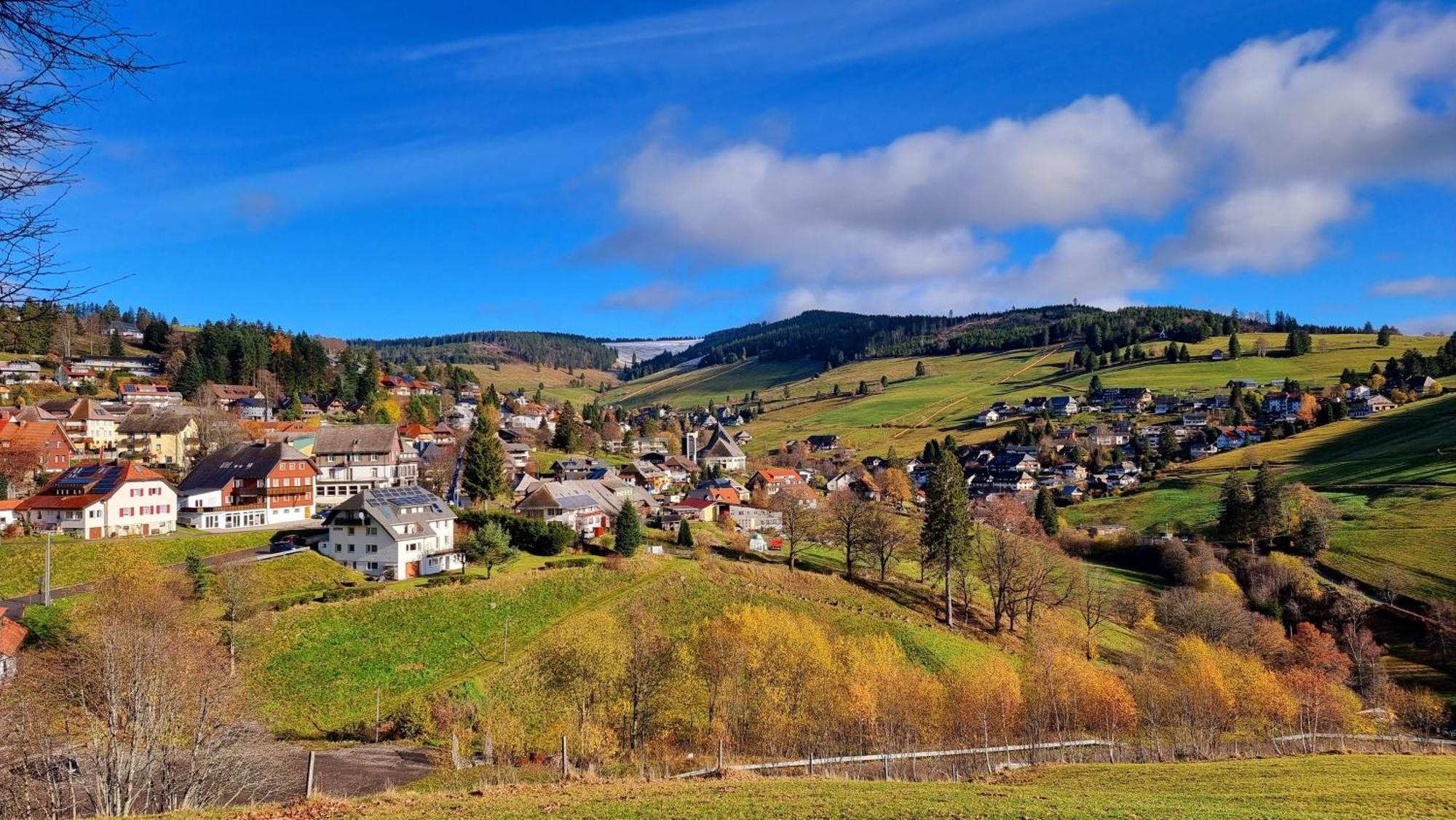"Schwarzwaldblick" Ferienwohnung 2-4 Pers 65Qm, Schoene Ruhige Suedhanglage Mit Herrl Aussicht Todtnau Exterior photo
