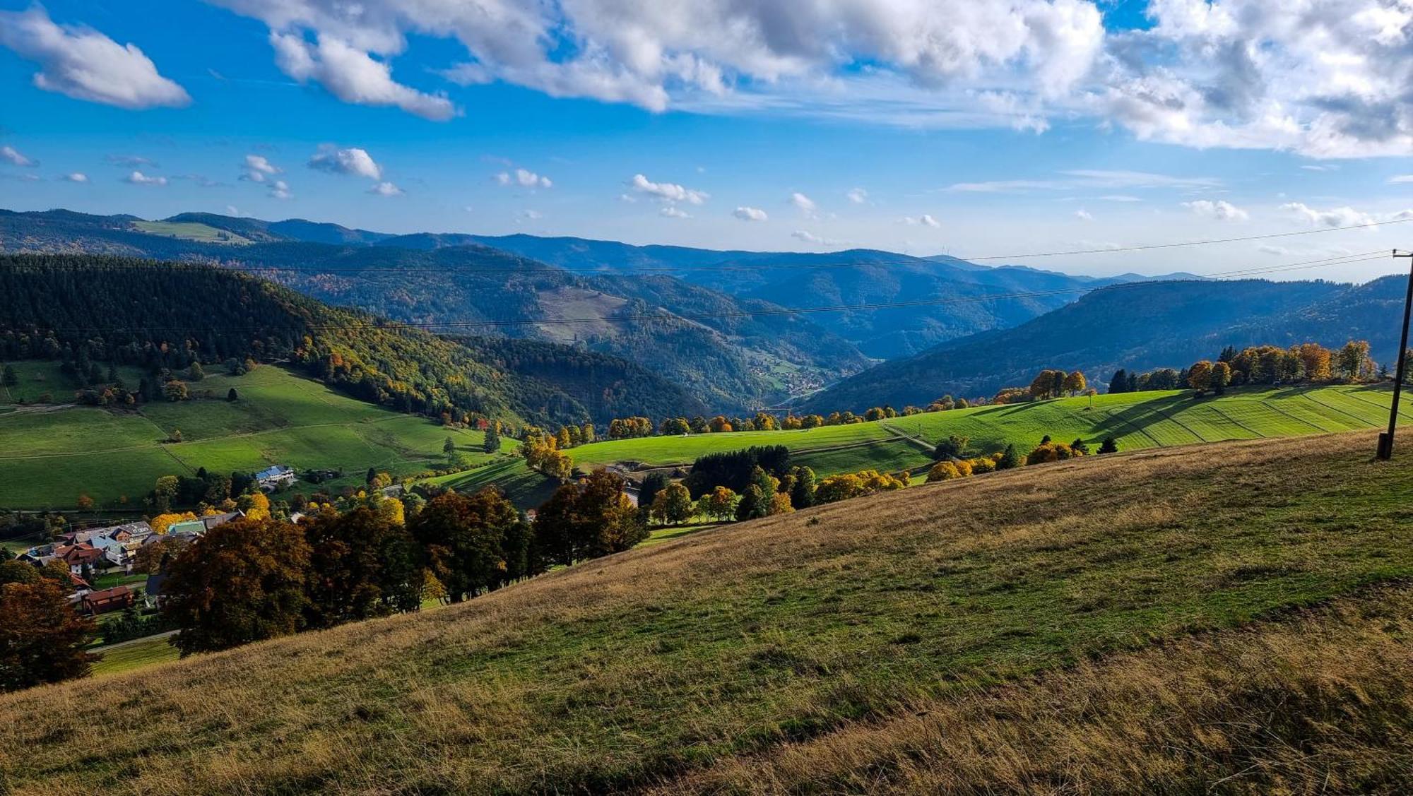 "Schwarzwaldblick" Ferienwohnung 2-4 Pers 65Qm, Schoene Ruhige Suedhanglage Mit Herrl Aussicht Todtnau Exterior photo